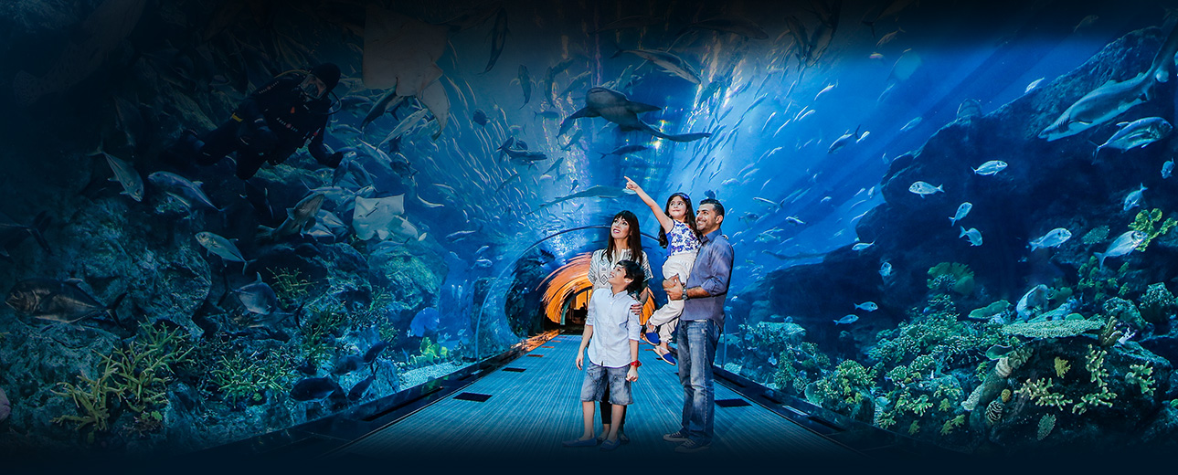 Dubai Aquarium at Dubai Mall