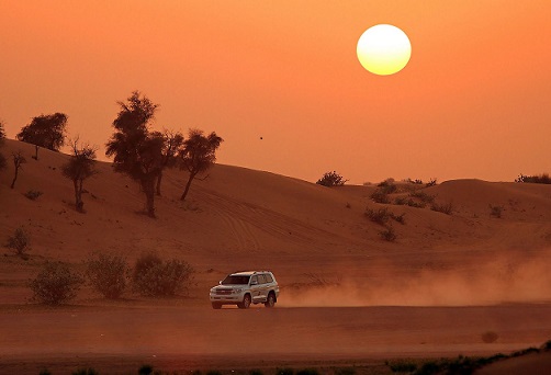 dubai desert safari sunrise safari