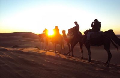 Dubai dawn safari