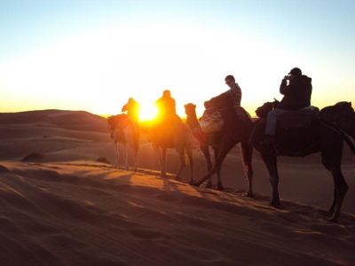 Dubai dawn safari